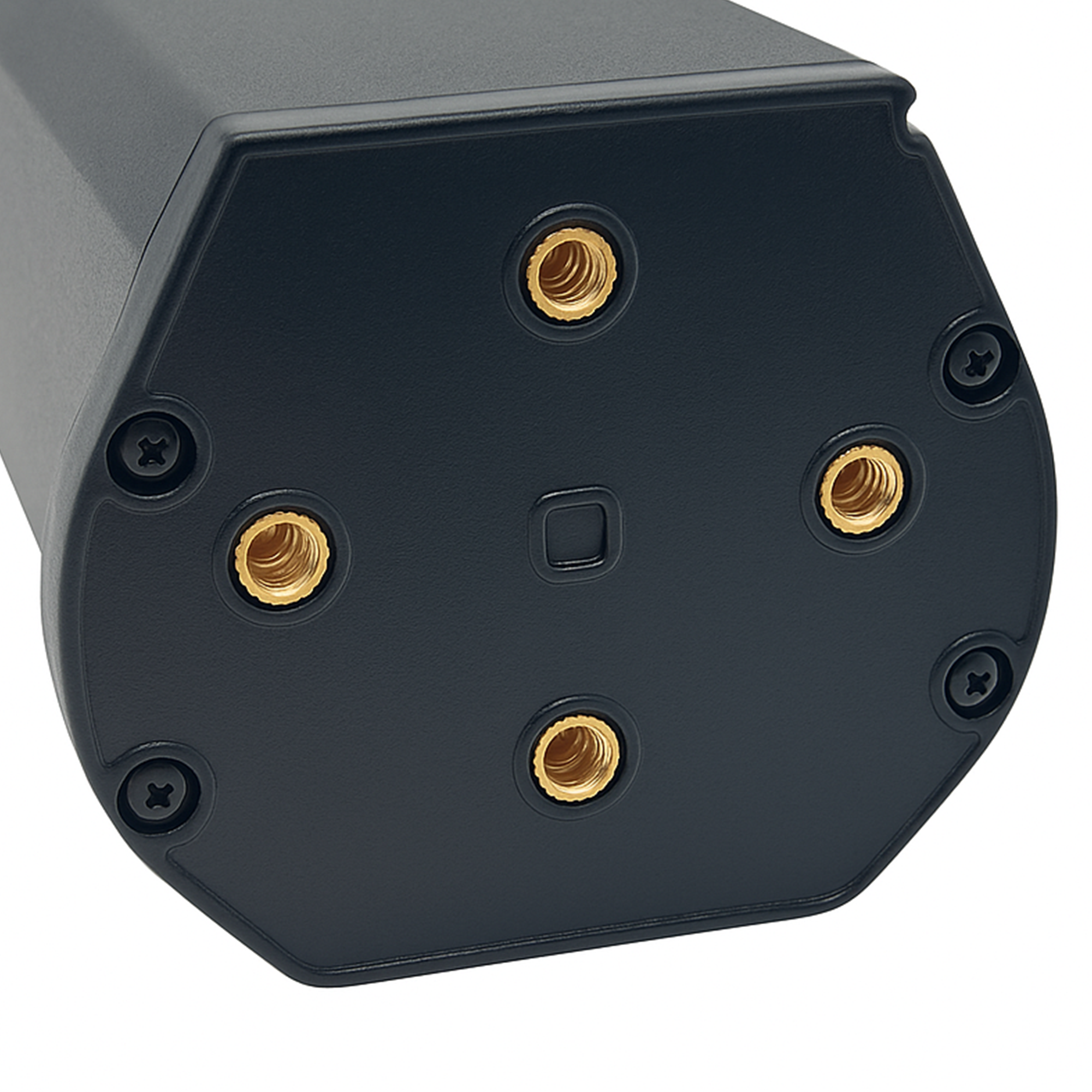 Pegasus Premio EVO (2022) Lithium Batterie 36V 630Wh (TP-BOS-01-35S)