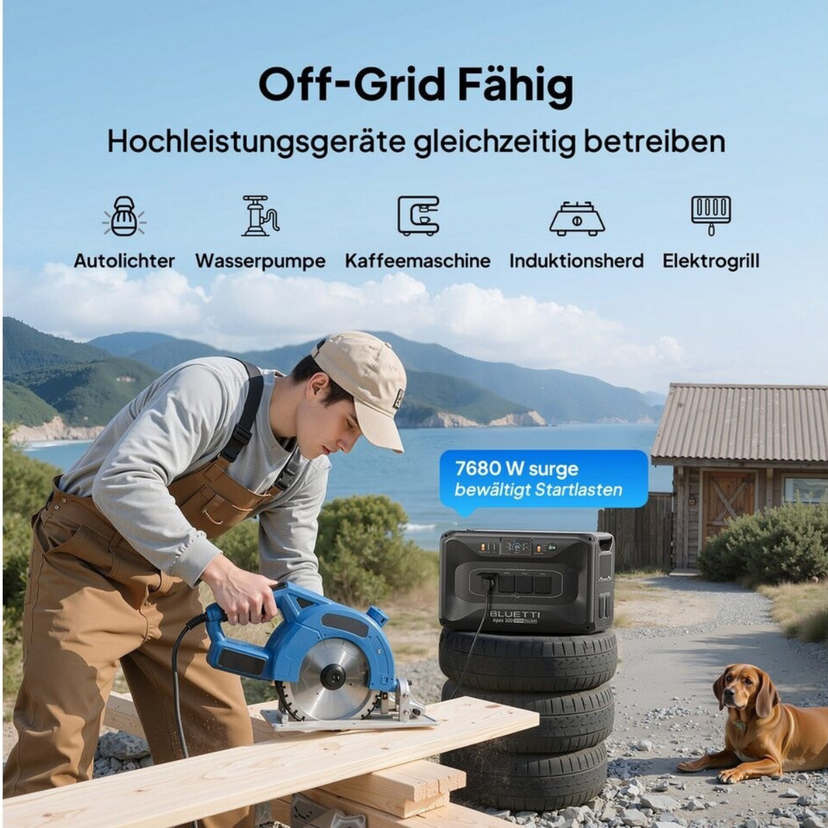 Bluetti Apex 300 Solo Erweiterbare PowerOak Powerstation 3.840 W